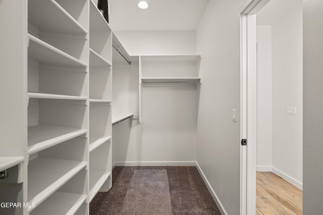 905 Bilton Pl, El Paso, TX 79928 - view of walk in closet