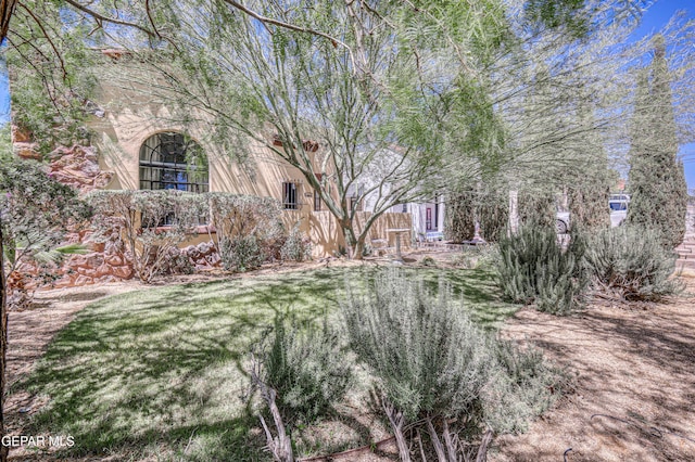 4021 Hastings Dr, El Paso, TX 79903 - view of yard