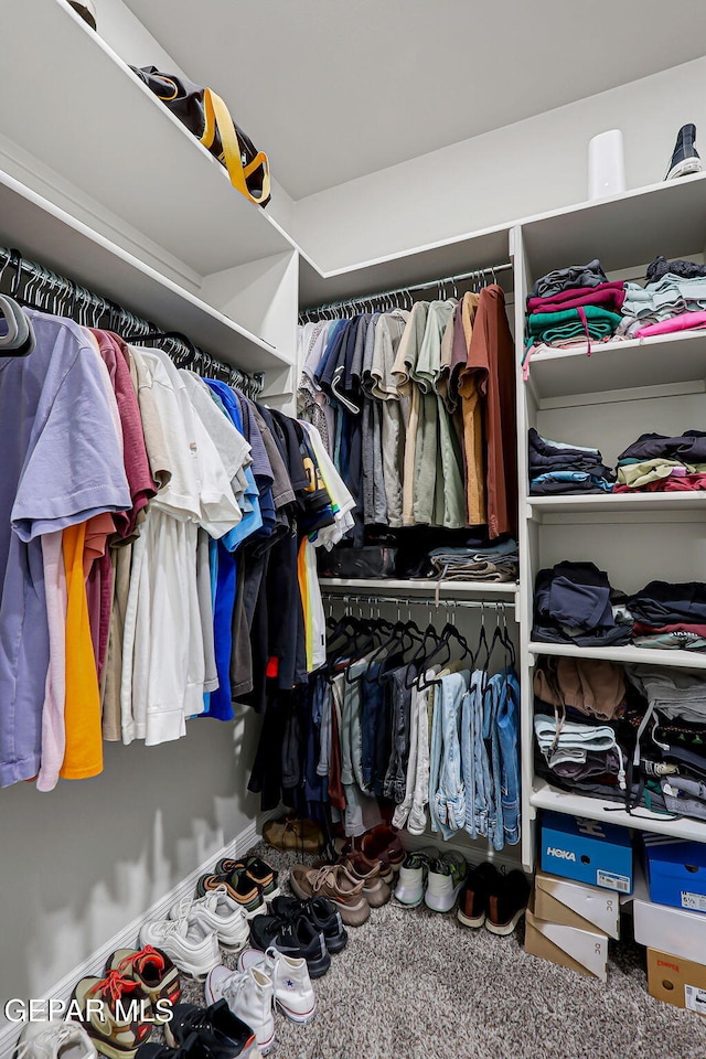 12820 Monmouth Ave, El Paso, TX 79928 - view of spacious closet