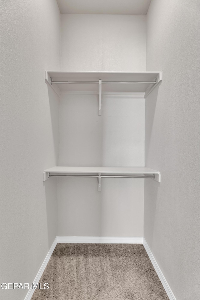 14772 John Mcneely Ave, El Paso, TX 79938 - walk in closet with carpet