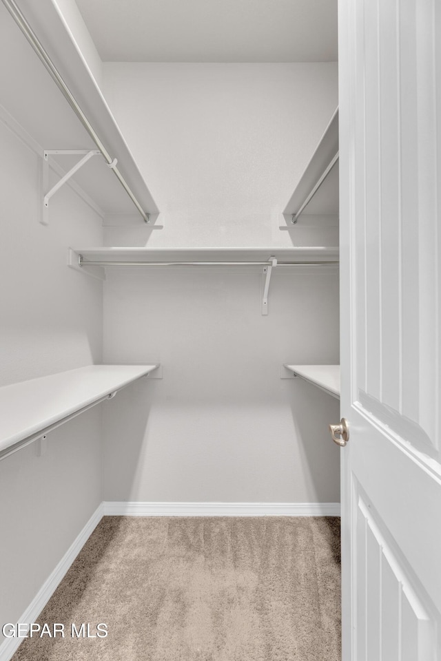 14772 John Mcneely Ave, El Paso, TX 79938 - walk in closet with carpet flooring