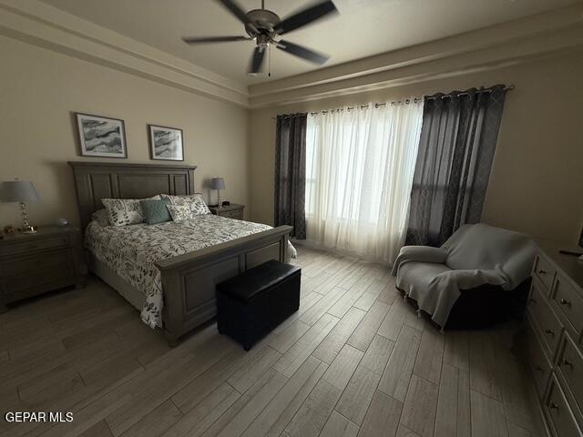 2313 Dancing Piper Way, El Paso, TX 79911 - bedroom with light wood-style floors, a raised ceiling, and ceiling fan
