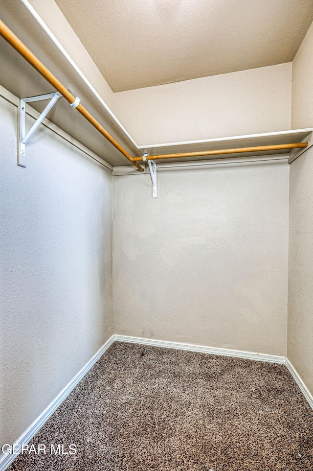 14376 N Cave Dr, El Paso, TX 79938 - spacious closet with carpet floors