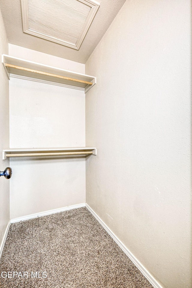 14376 N Cave Dr, El Paso, TX 79938 - spacious closet featuring carpet floors