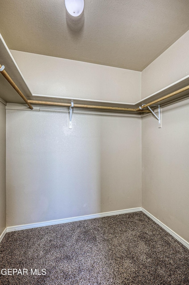 14376 N Cave Dr, El Paso, TX 79938 - walk in closet with carpet