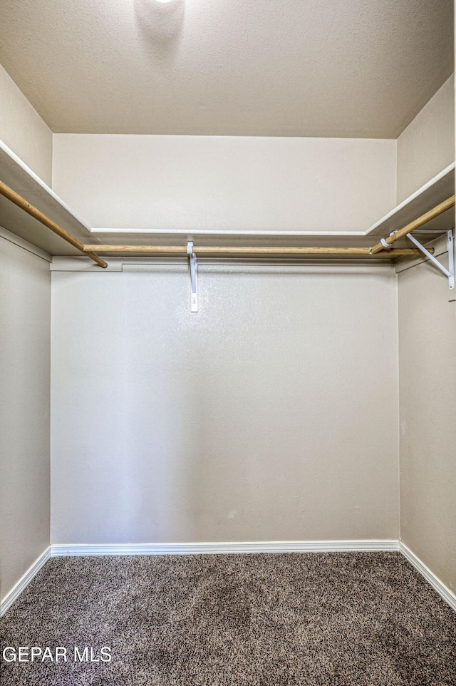 14376 N Cave Dr, El Paso, TX 79938 - walk in closet with carpet flooring