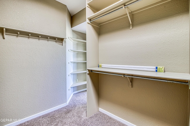 6570 Eagle Ridge Dr, El Paso, TX 79912 - walk in closet featuring carpet