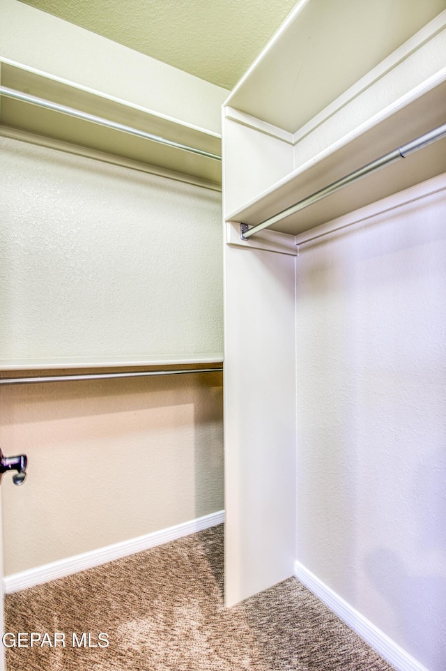 6570 Eagle Ridge Dr, El Paso, TX 79912 - walk in closet featuring carpet floors