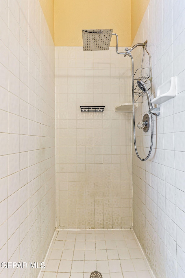 9769 Galilee Dr, El Paso, TX 79927 - bathroom with tiled shower