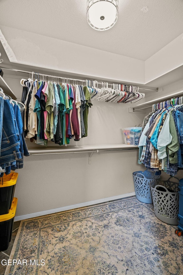 11202 Redstone Peak Place, El Paso, TX 79934 - view of spacious closet