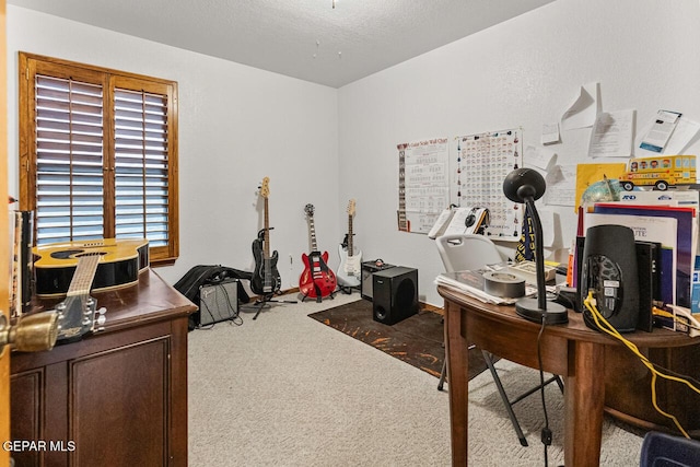 612 Firedale Ln, El Paso, TX 79912 - office space featuring carpet flooring