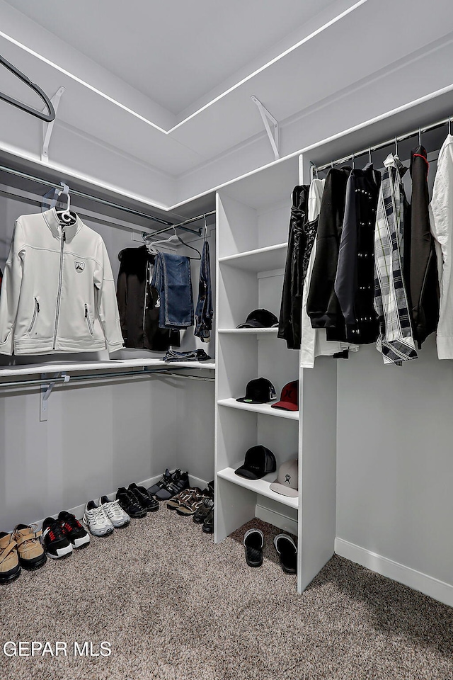 13860 Summer View Ave, El Paso, TX 79928 - walk in closet with carpet