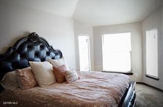 13643 Pecos River Rd, Clint, TX 79836 - bedroom featuring multiple windows, carpet floors, and lofted ceiling