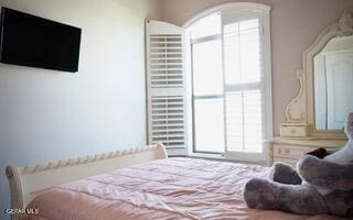 13643 Pecos River Rd, Clint, TX 79836 - bedroom featuring multiple windows