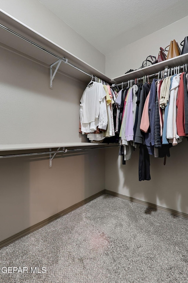 12511 Furlong Cir, El Paso, TX 79928 - walk in closet featuring carpet flooring