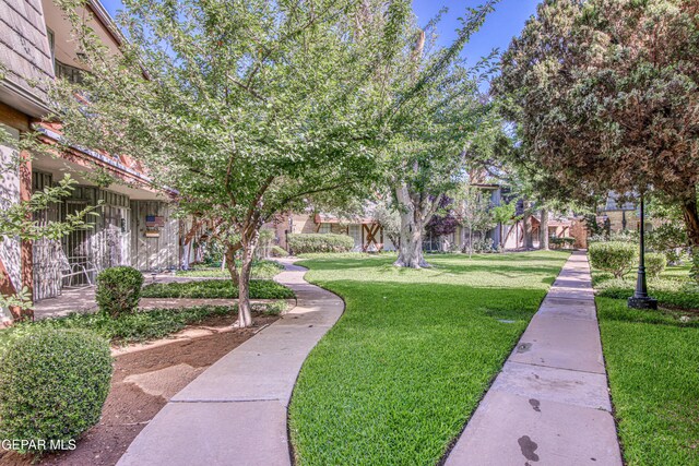 350 Thunderbird Dr Unit 59, El Paso, TX 79912 - view of community featuring a lawn