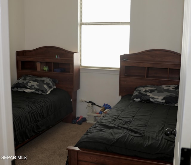 14251 Rattler Point Dr, El Paso, TX 79938 - bedroom with carpet floors