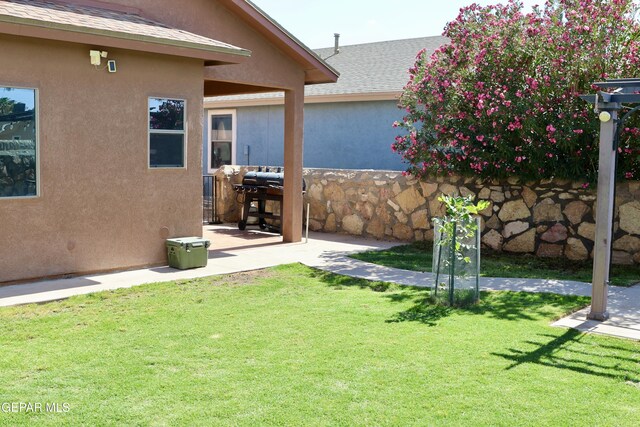 14251 Rattler Point Dr, El Paso, TX 79938 - view of green lawn