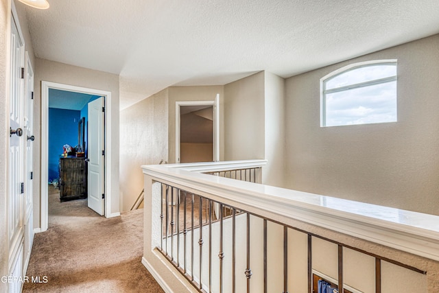 401 Everlook Ln, Horizon City, TX 79928 - corridor with an upstairs landing, light colored carpet, and a textured ceiling