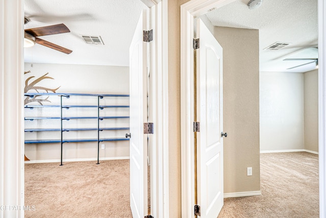 401 Everlook Ln, Horizon City, TX 79928 - hallway with carpet floors and a textured ceiling
