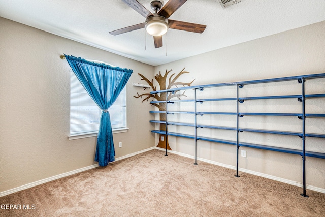 401 Everlook Ln, Horizon City, TX 79928 - storage room with ceiling fan