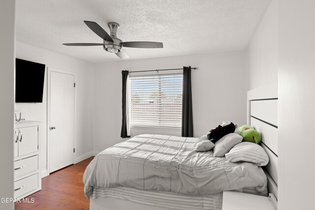 405 Los Seris Place, El Paso, TX 79912 - photo 30
