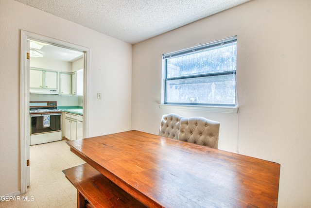 5430 Davis Cup Ct, El Paso, TX 79932 - dining room featuring light floors and a textured ceiling