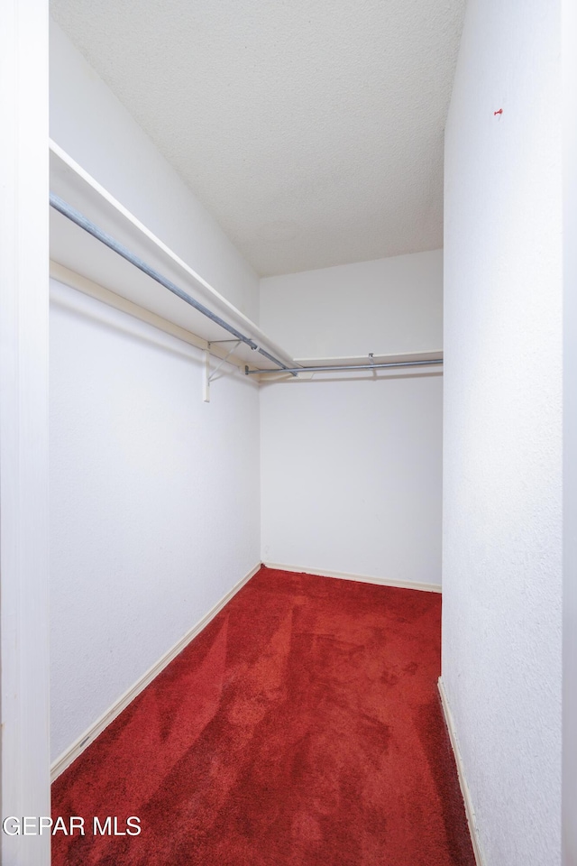11969 Oak Abbey Ct, El Paso, TX 79936 - spacious closet with carpet flooring
