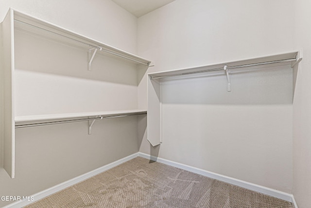 14904 John Mcneely Ave, El Paso, TX 79938 - walk in closet with carpet floors
