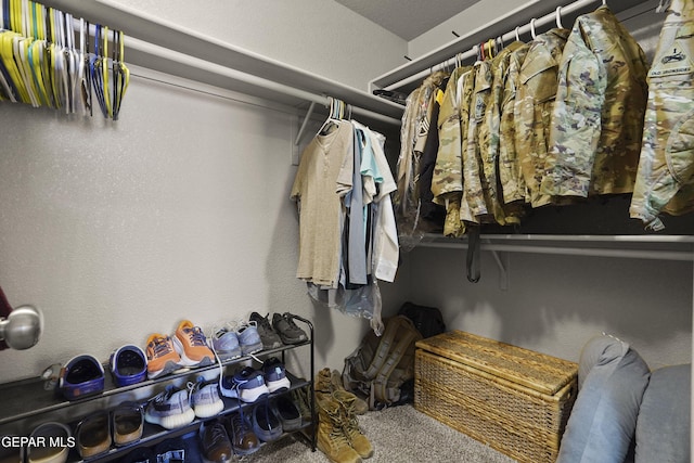 14215 Otter Point Ct, El Paso, TX 79938 - walk in closet featuring carpet flooring