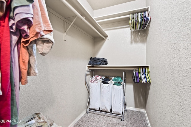 14215 Otter Point Ct, El Paso, TX 79938 - walk in closet featuring carpet floors