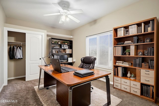 1513 Cidra Del Sol Dr, El Paso, TX 79911 - photo 23