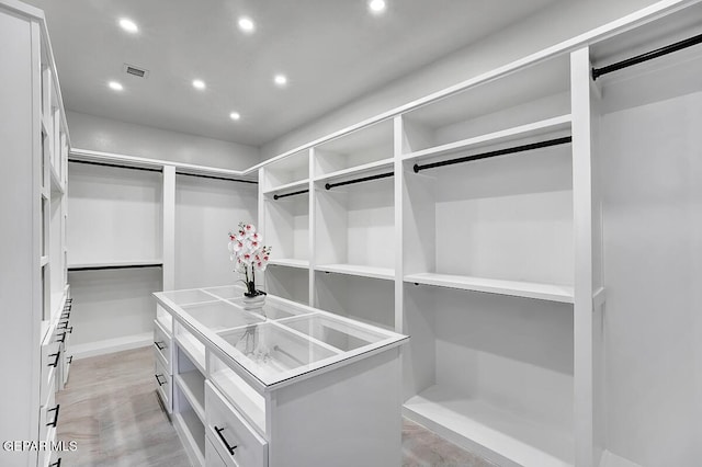 525 Cotton Blossom Ave, El Paso, TX 79922 - view of spacious closet