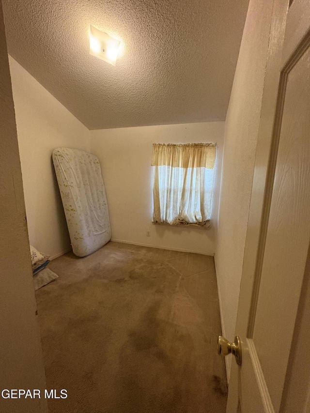 9421 Ariel Rico Ct, El Paso, TX 79907 - unfurnished room featuring carpet, a textured ceiling, and lofted ceiling