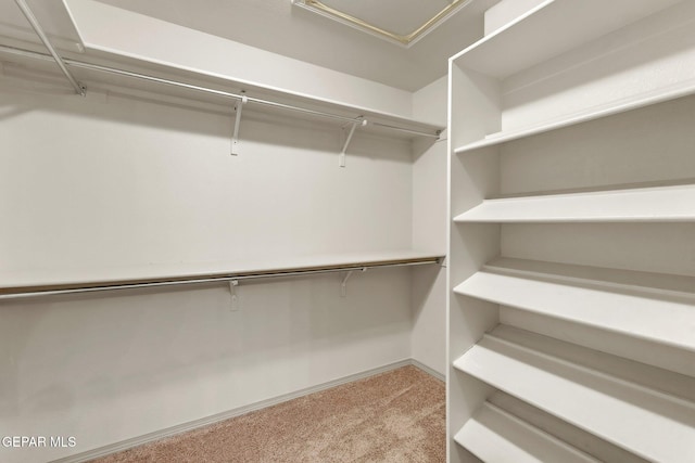 14330 Woods Point Ave, El Paso, TX 79938 - walk in closet with light colored carpet