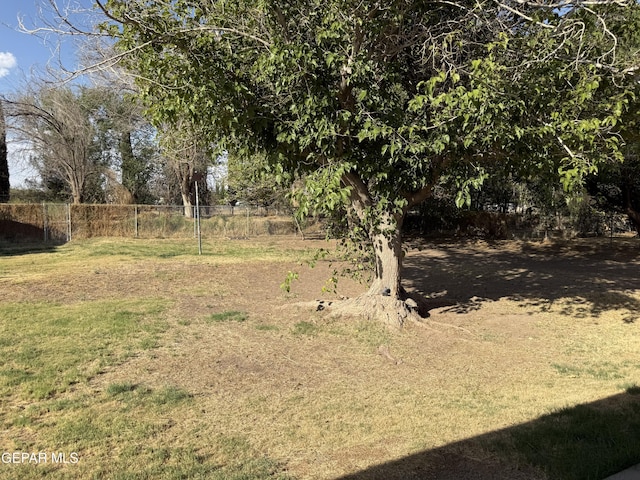 8429 Lasso Cir, El Paso, TX 79907 - view of yard