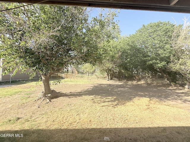 8429 Lasso Cir, El Paso, TX 79907 - view of yard