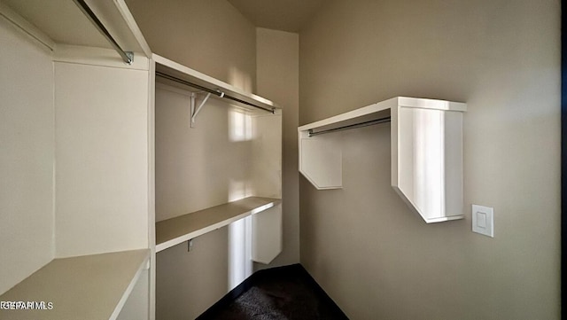 12301 Desert Pine Ave, El Paso, TX 79938 - view of walk in closet