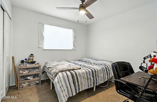 9865 Goby St, El Paso, TX 79924 - photo 29