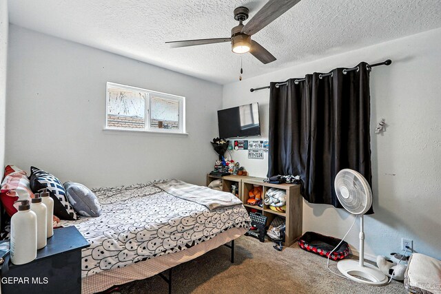 9865 Goby St, El Paso, TX 79924 - photo 33