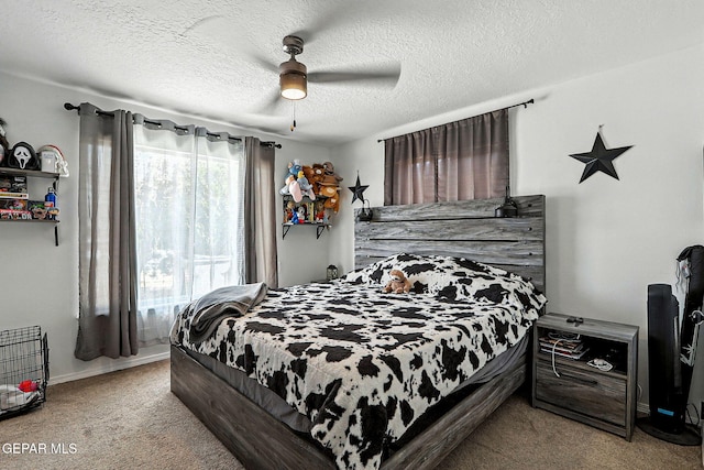 9865 Goby St, El Paso, TX 79924 - photo 36