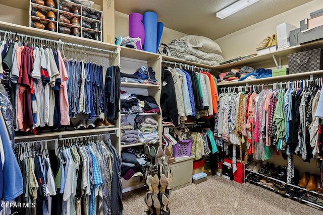 6310 Franklin Crest Dr, El Paso, TX 79912 - spacious closet featuring carpet floors