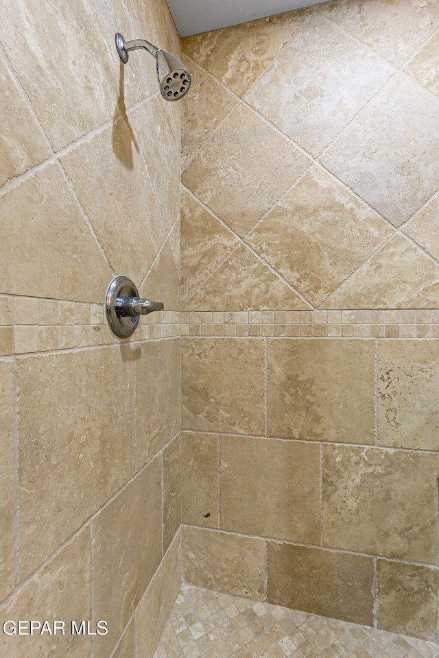 796 Fescue Dr, Canutillo, TX 79835 - bathroom view of tiled shower