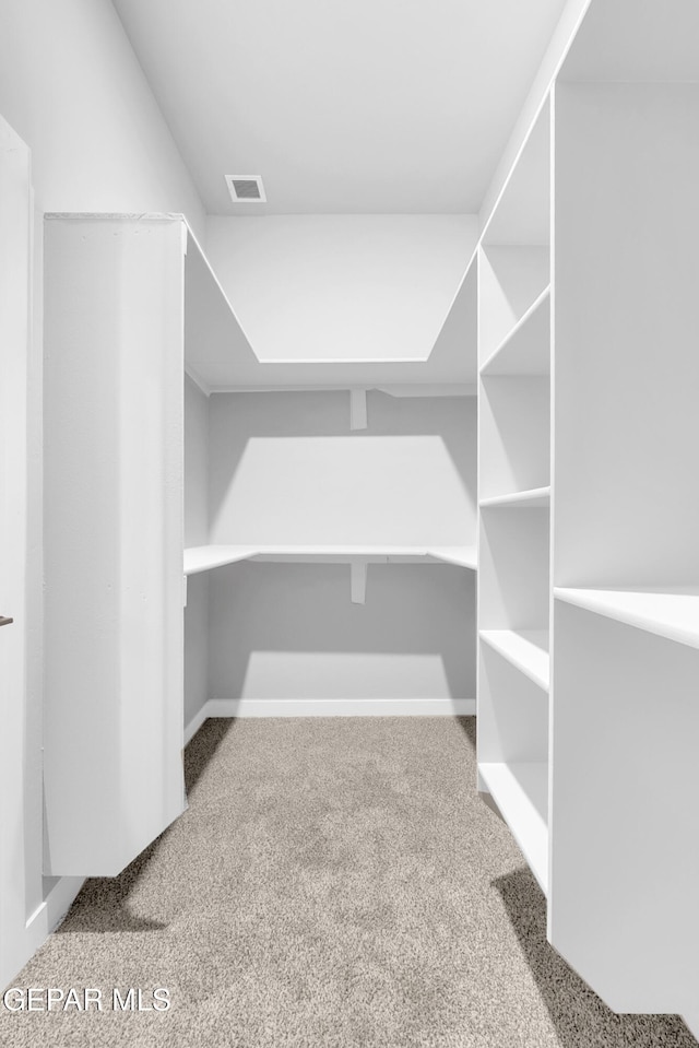 13829 Summer View Ave, Horizon City, TX 79928 - spacious closet with carpet flooring