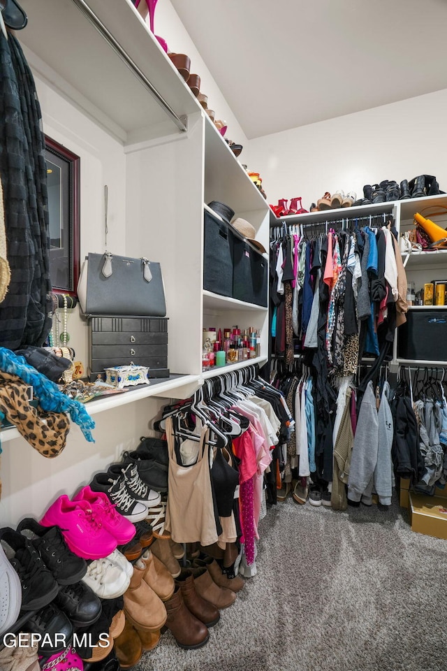 14516 Ciambriello Ave, El Paso, TX 79938 - spacious closet with carpet flooring
