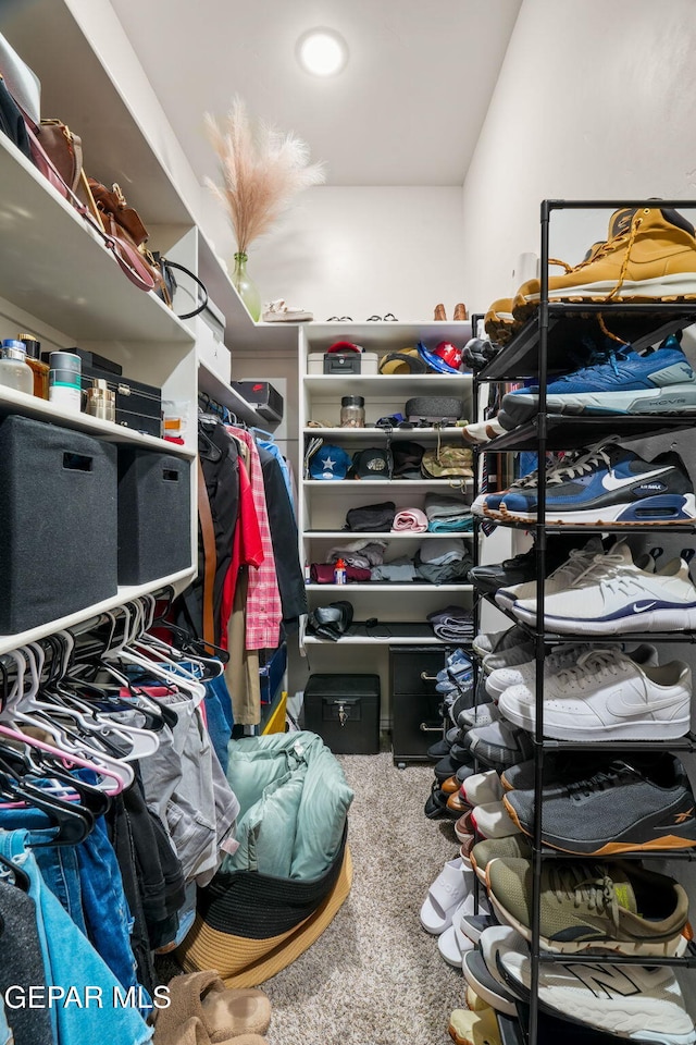 14516 Ciambriello Ave, El Paso, TX 79938 - spacious closet featuring carpet flooring
