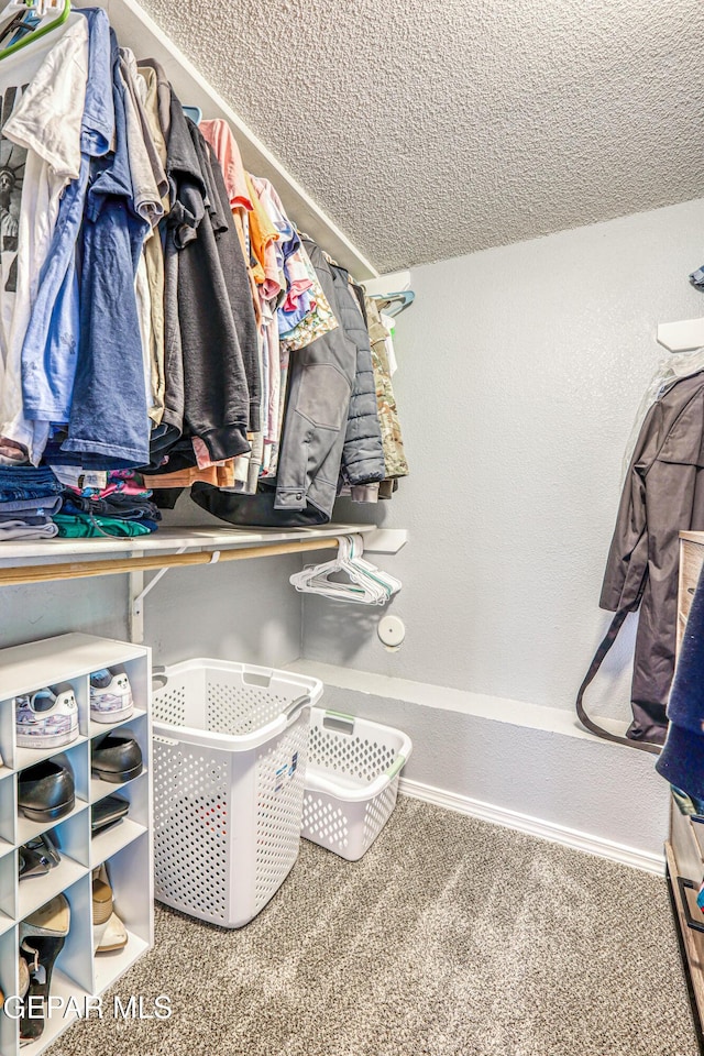 10937 Acoma St, El Paso, TX 79934 - spacious closet with carpet floors