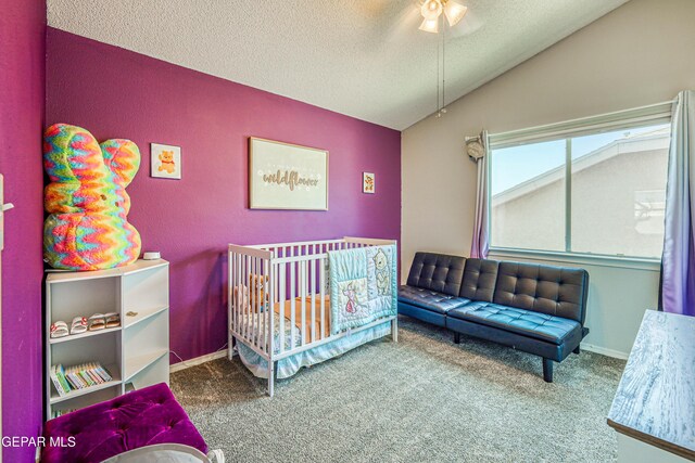 10937 Acoma St, El Paso, TX 79934 - carpeted bedroom with lofted ceiling and a textured ceiling