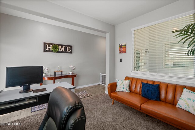 10625 Hidden Links Pl, El Paso, TX 79924 - office with wood finished floors and baseboards