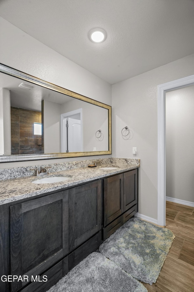 10625 Hidden Links Pl, El Paso, TX 79924 - bathroom with double vanity and wood finished floors
